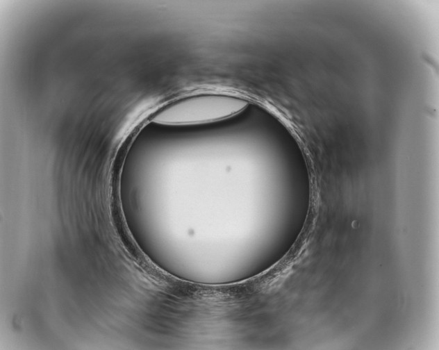 X0000094230199200710261020
