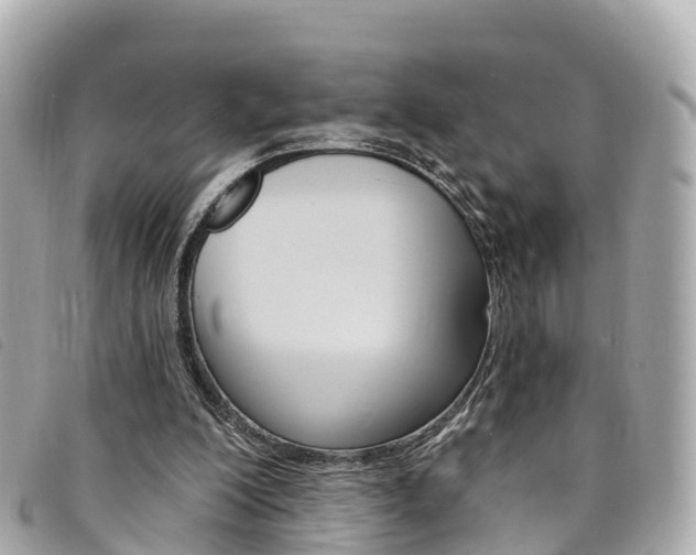 X0000094230200200710261020