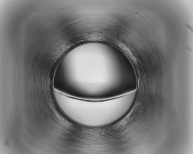 X0000094230201200710261020