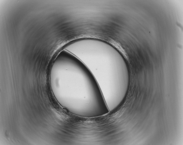 X0000094230204200710261020