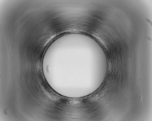 X0000094230208200710261020