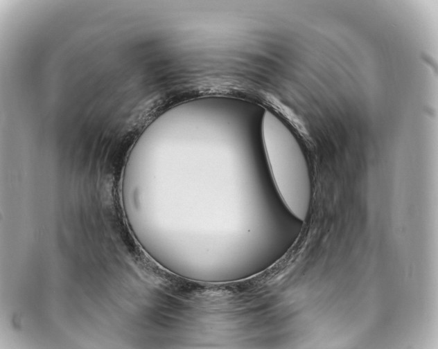 X0000094230209200710261020