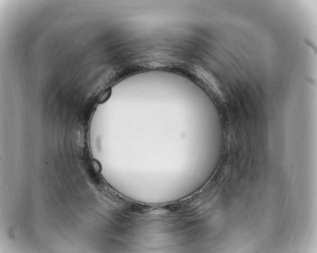 X0000094230210200710261020