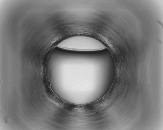 X0000094230211200710261020