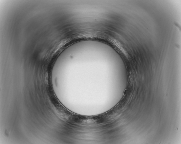 X0000094230212200710261020