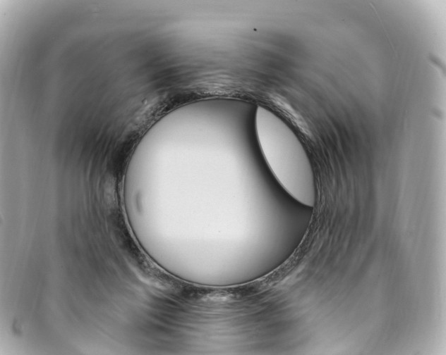 X0000094230213200710261020
