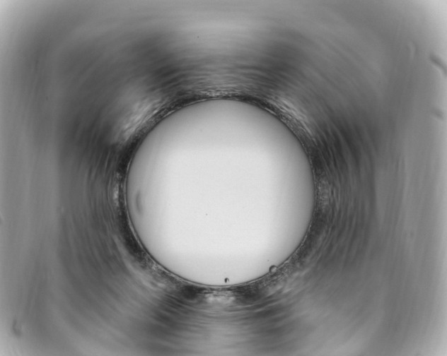 X0000094230214200710261020