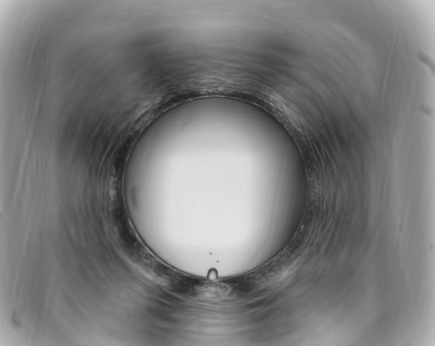 X0000094230215200710261020
