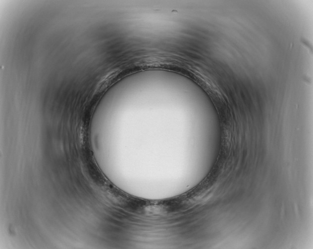 X0000094230216200710261020