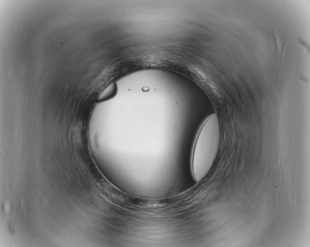X0000094230217200710261020