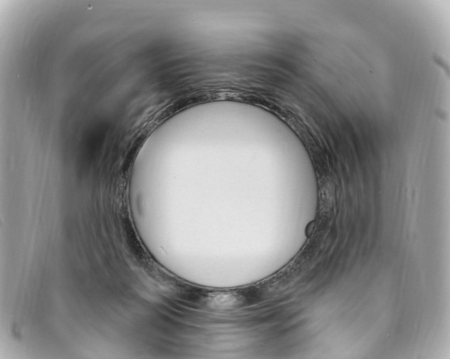 X0000094230218200710261020