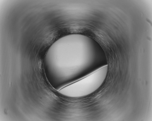 X0000094230219200710261020