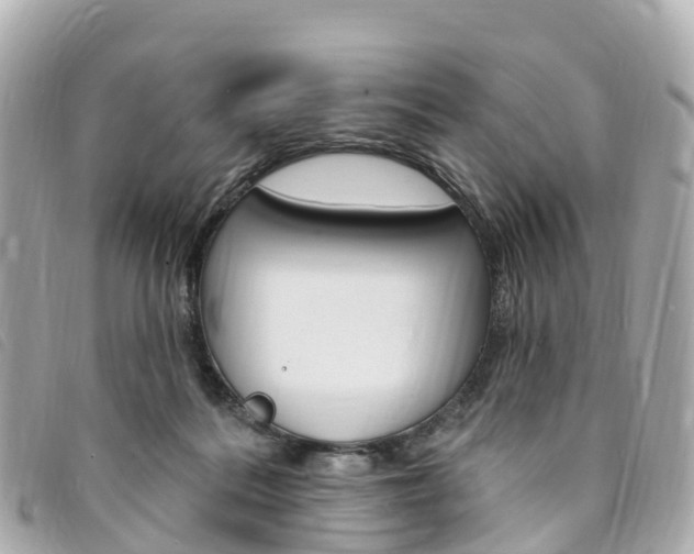 X0000094230220200710261020