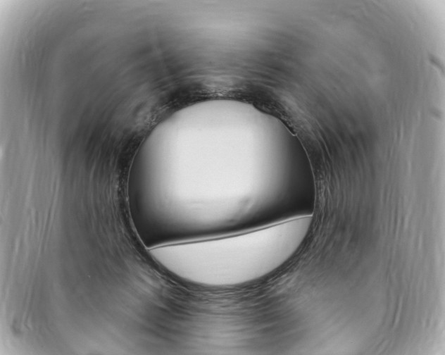 X0000094230221200710261020