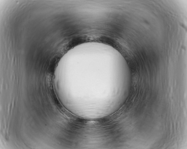 X0000094230222200710261020