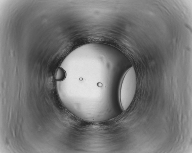 X0000094230224200710261020