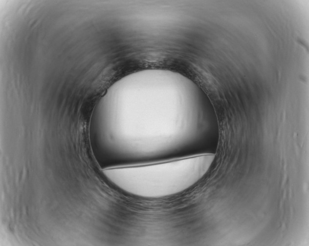 X0000094230225200710261020