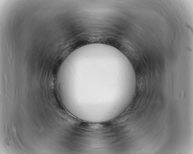 X0000094230226200710261020