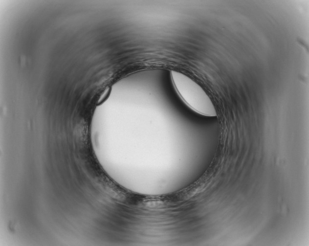 X0000094230228200710261020