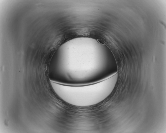 X0000094230229200710261020