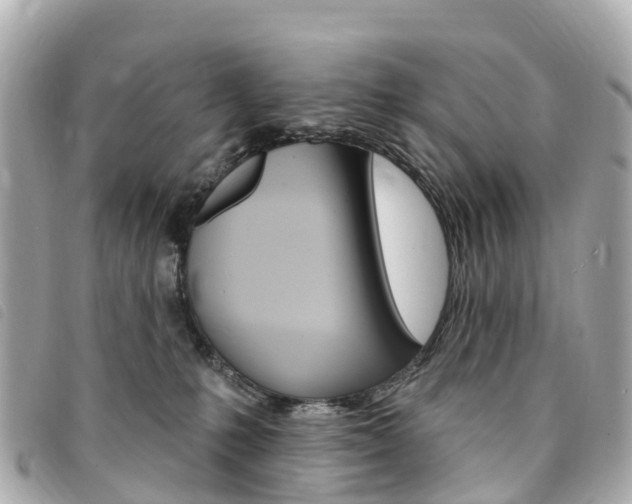 X0000094230231200710261020