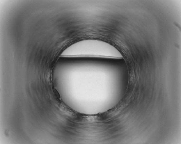 X0000094230233200710261020
