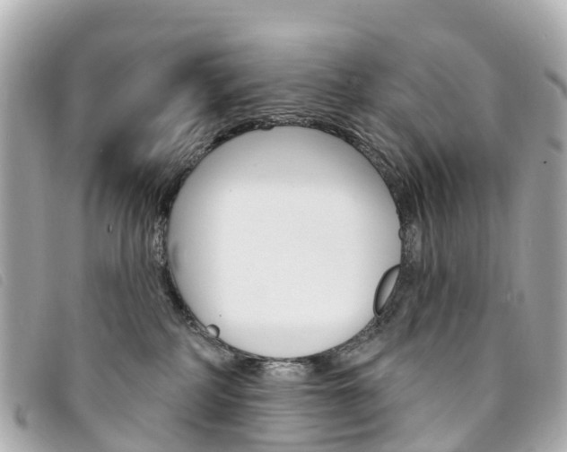 X0000094230234200710261020