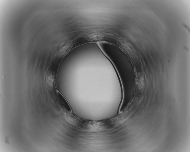 X0000094230235200710261020