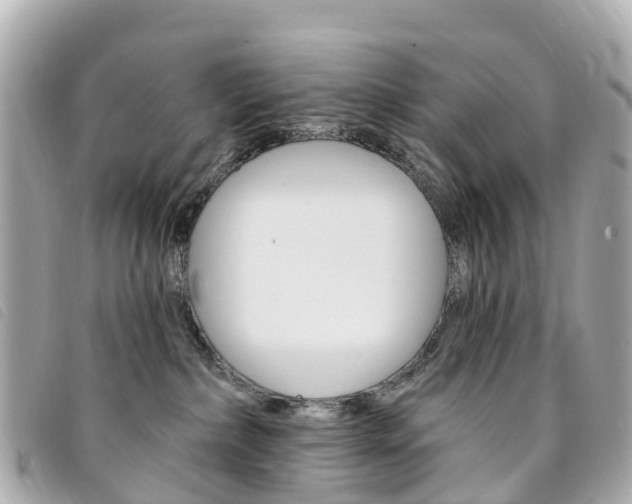 X0000094230236200710261020