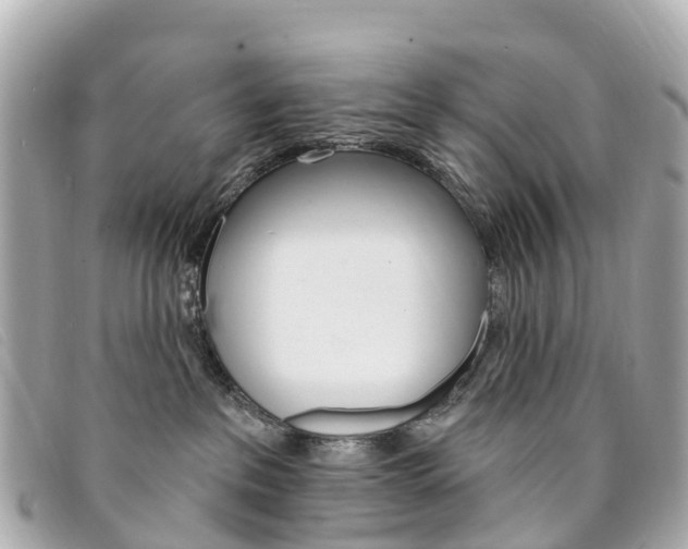 X0000094230237200710261020