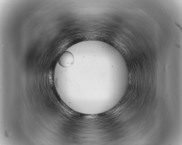 X0000094230238200710261020