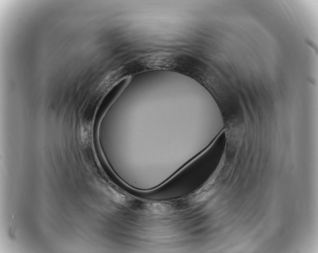 X0000094230239200710261020