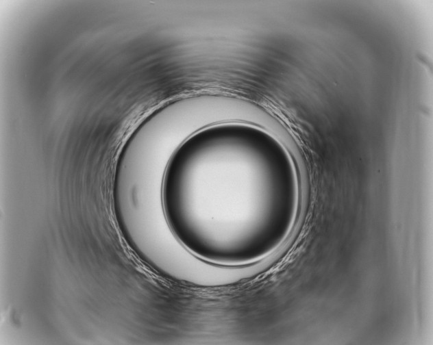 X0000094230241200710261019