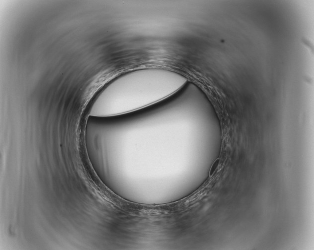 X0000094230242200710261019