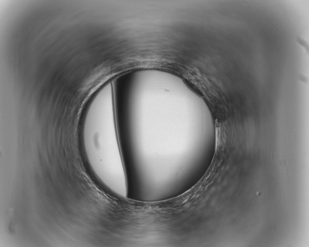 X0000094230243200710261019