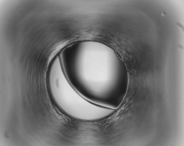 X0000094230244200710261019