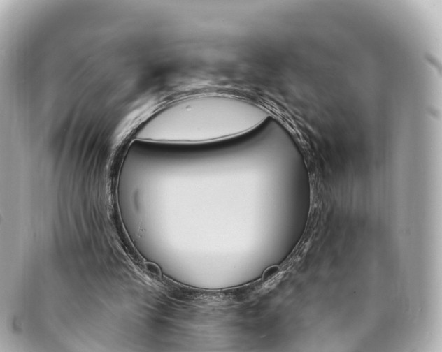 X0000094230245200710261019