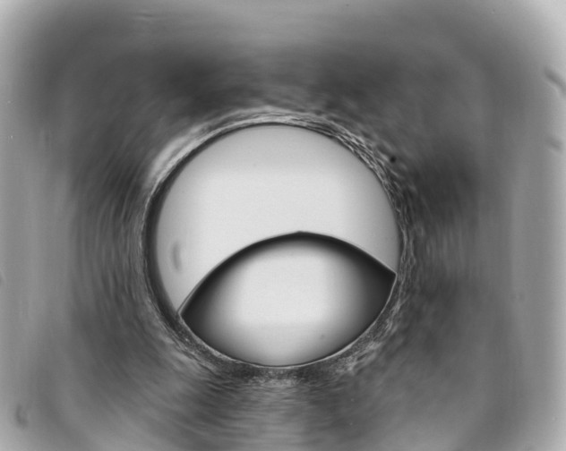 X0000094230247200710261019