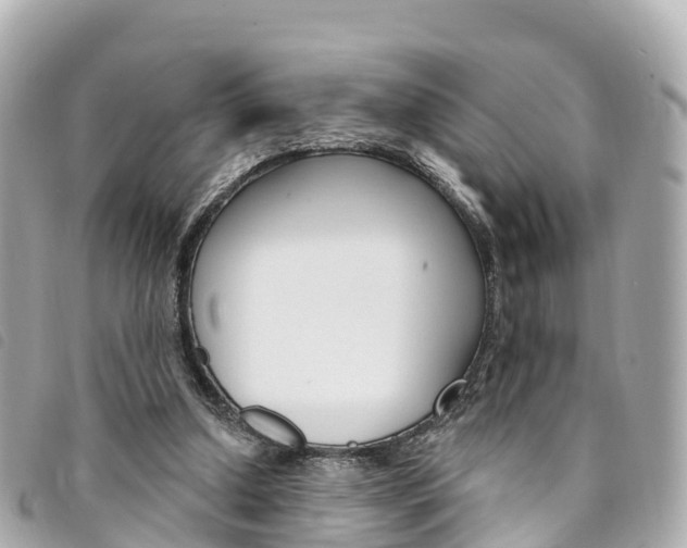 X0000094230250200710261019