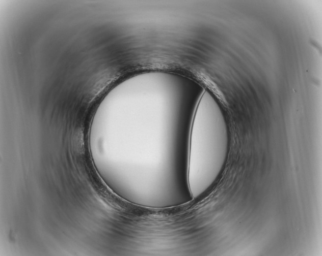 X0000094230251200710261019