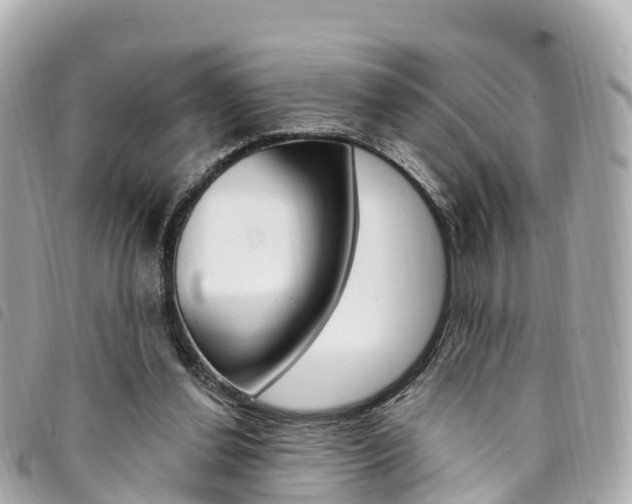 X0000094230252200710261019