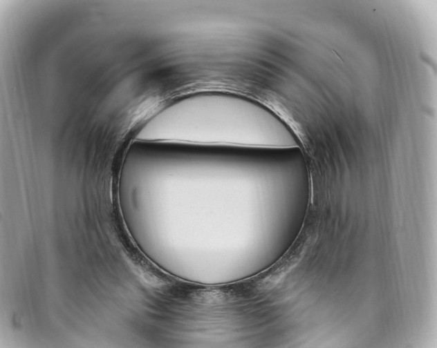 X0000094230253200710261019