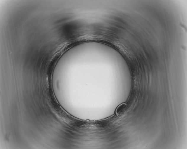 X0000094230254200710261019