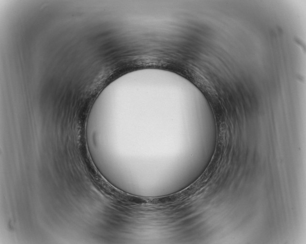 X0000094230255200710261019