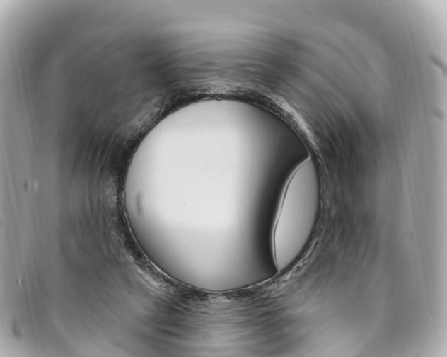 X0000094230257200710261019