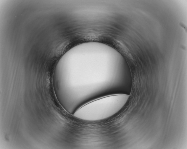 X0000094230259200710261019