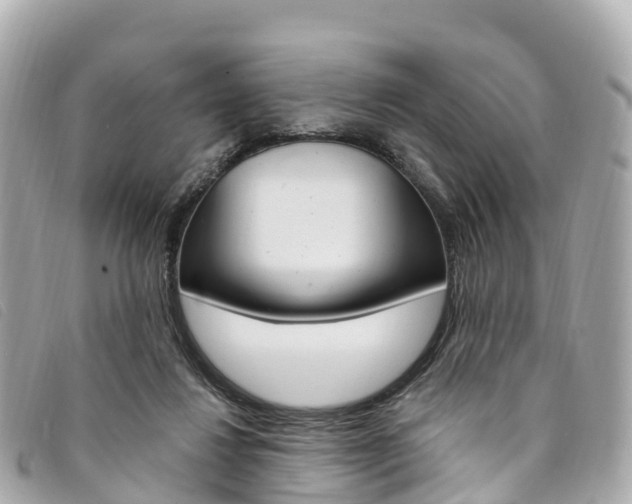 X0000094230260200710261019