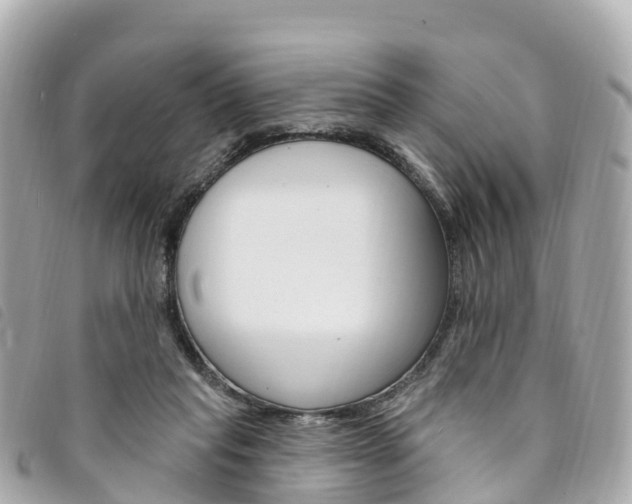 X0000094230261200710261019