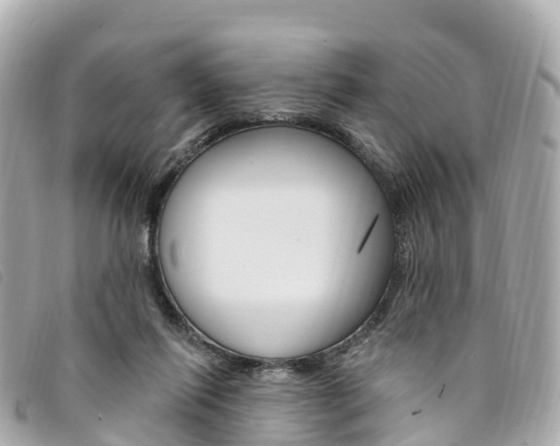 X0000094230262200710261019