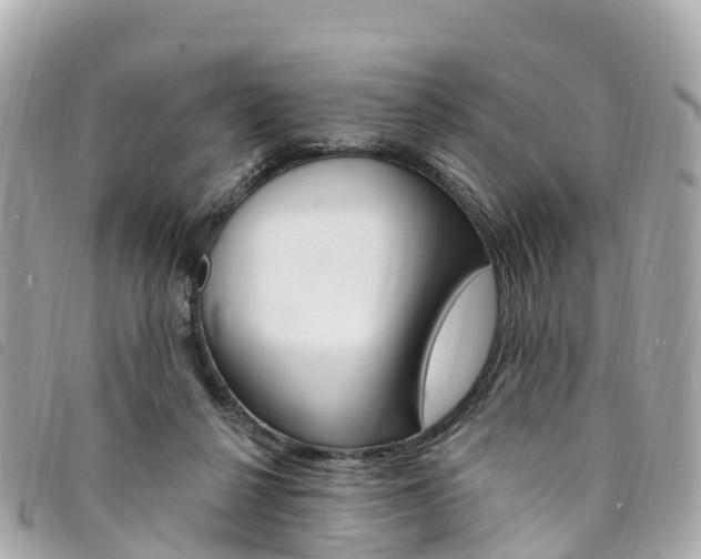 X0000094230264200710261019